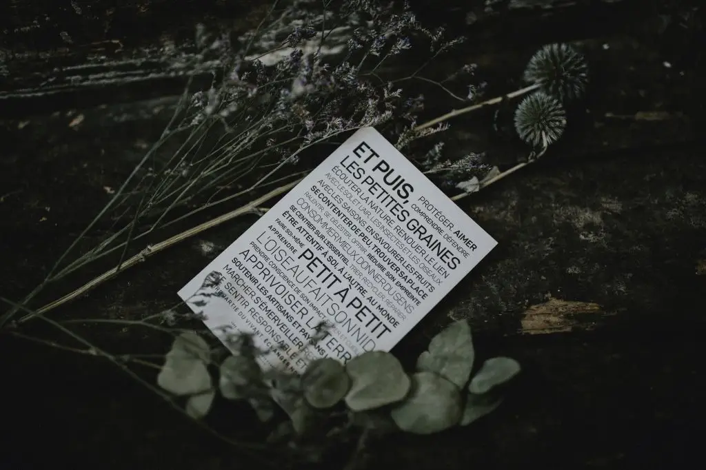Une invitation de mariage posée sur un morceau de bois.