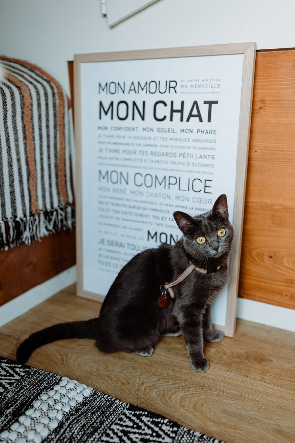 Un chat noir est assis devant une affiche qui dit mon Chat, un cadeau en dessous.