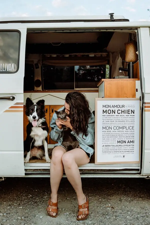 Une femme est assise à l'arrière d'une camionnette VW avec son cadeau et Chien.