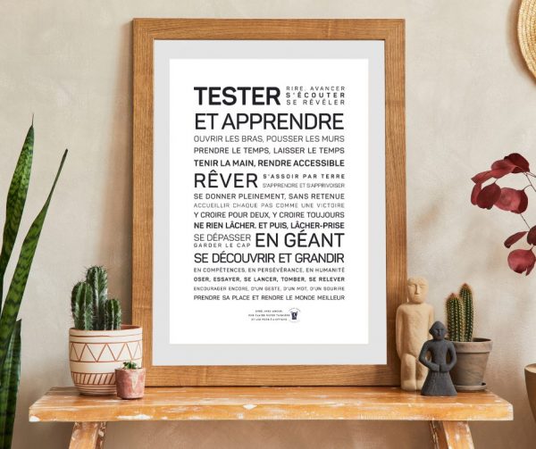 Une affiche encadrée avec les mots Tester et apprendre (éducation), une idée cadeau poétique.