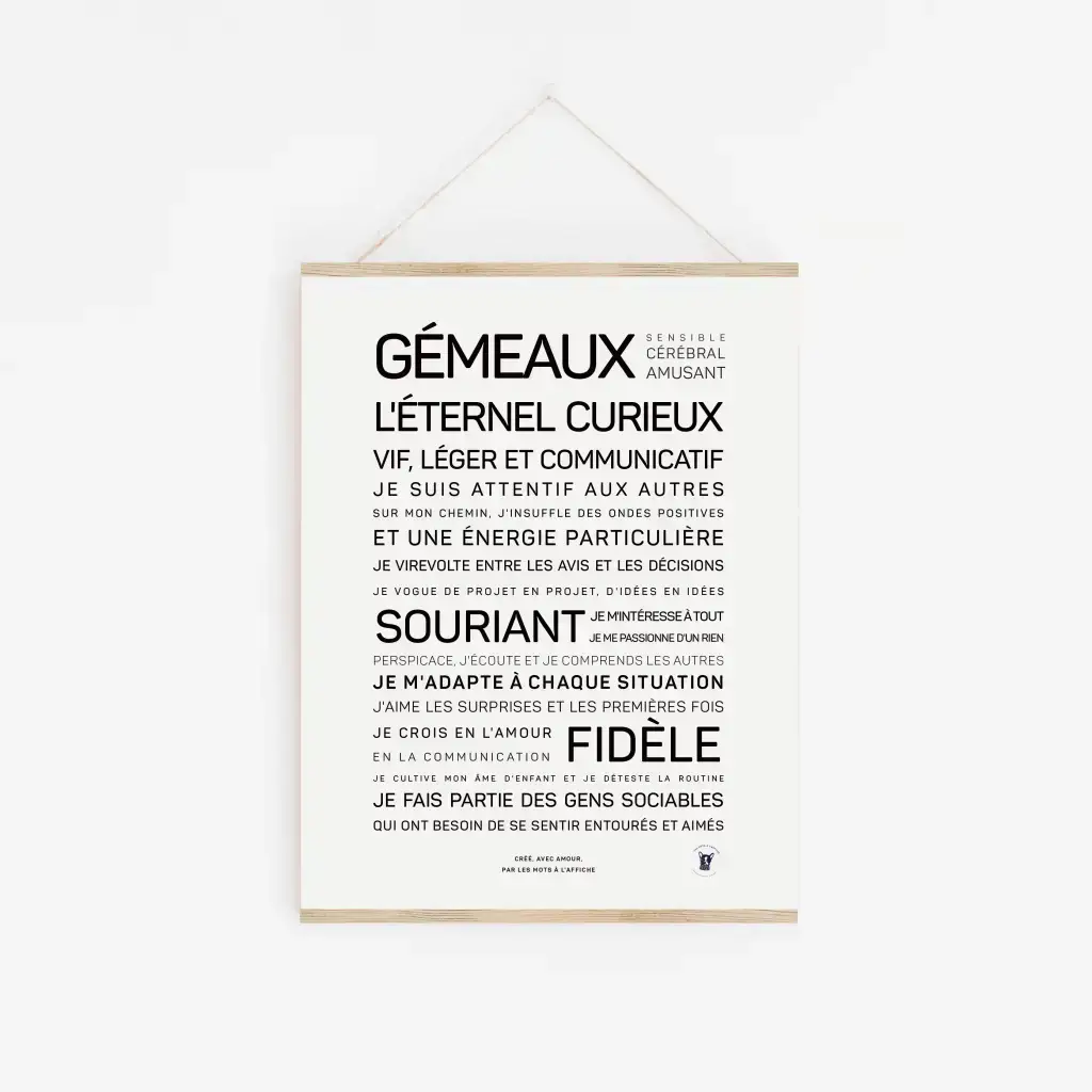 Affiche Gémeaux en français illustrant les traits du signe : curieux, communicatif, joyeux et fidèle, avec des politiques variées. Parfaite idée cadeau originale pour les passionnés d’astrologie et de zodiaque.